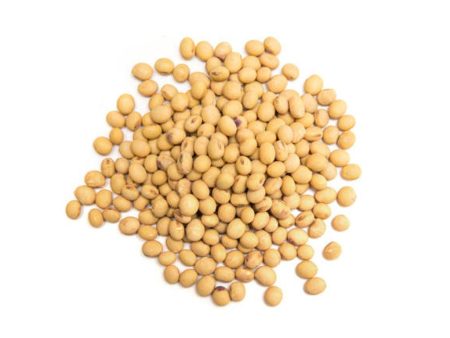 Fèves Soya Biologiques (Vrac) Online