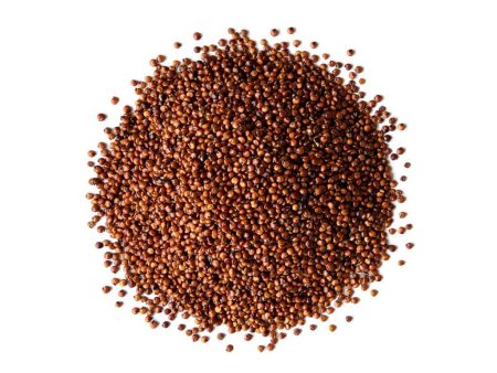 Grains de Quinoa Rouge Biologiques (Vrac) Hot on Sale