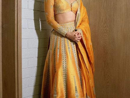 Imarti Lehenga Sale