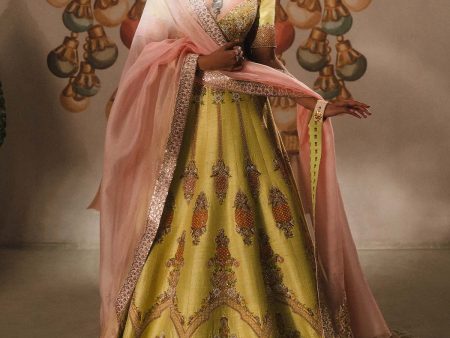 The Pista Kulfi Lehenga For Cheap