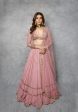 Dull Pink Double Tier Lehenga Set - Ready To Ship Online Hot Sale