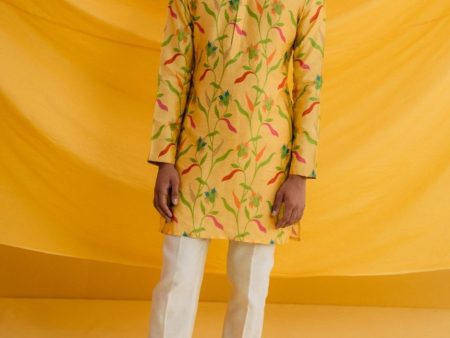 Amber Kurta Set with Cotton Silk Pants Cheap